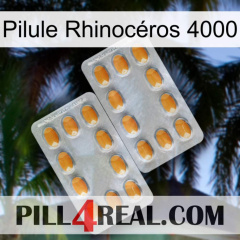 Pilule Rhinocéros 4000 cialis4